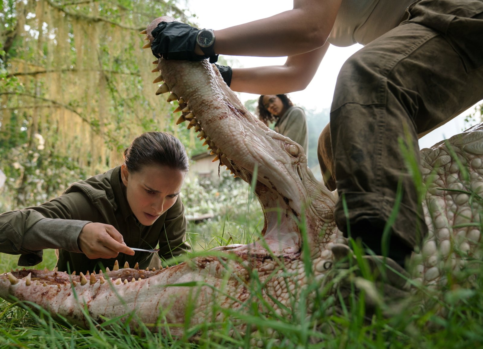 Annihilation Natalie Portman 2k 4k 5k