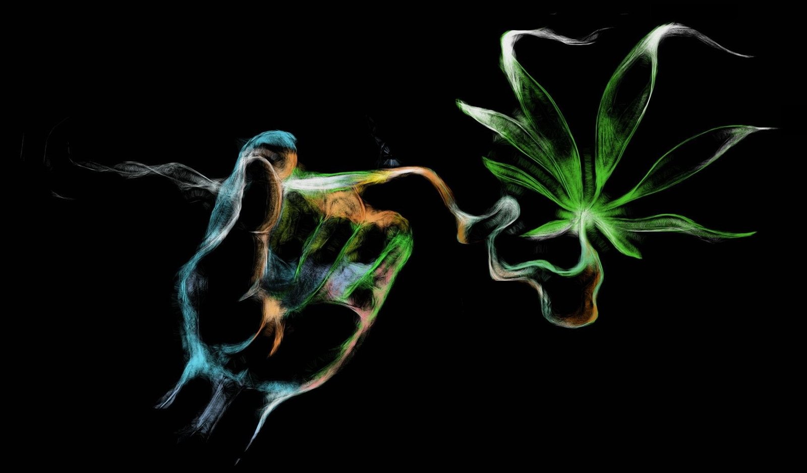cannabis drug drugs marijuana nature plant psychedelic 2k