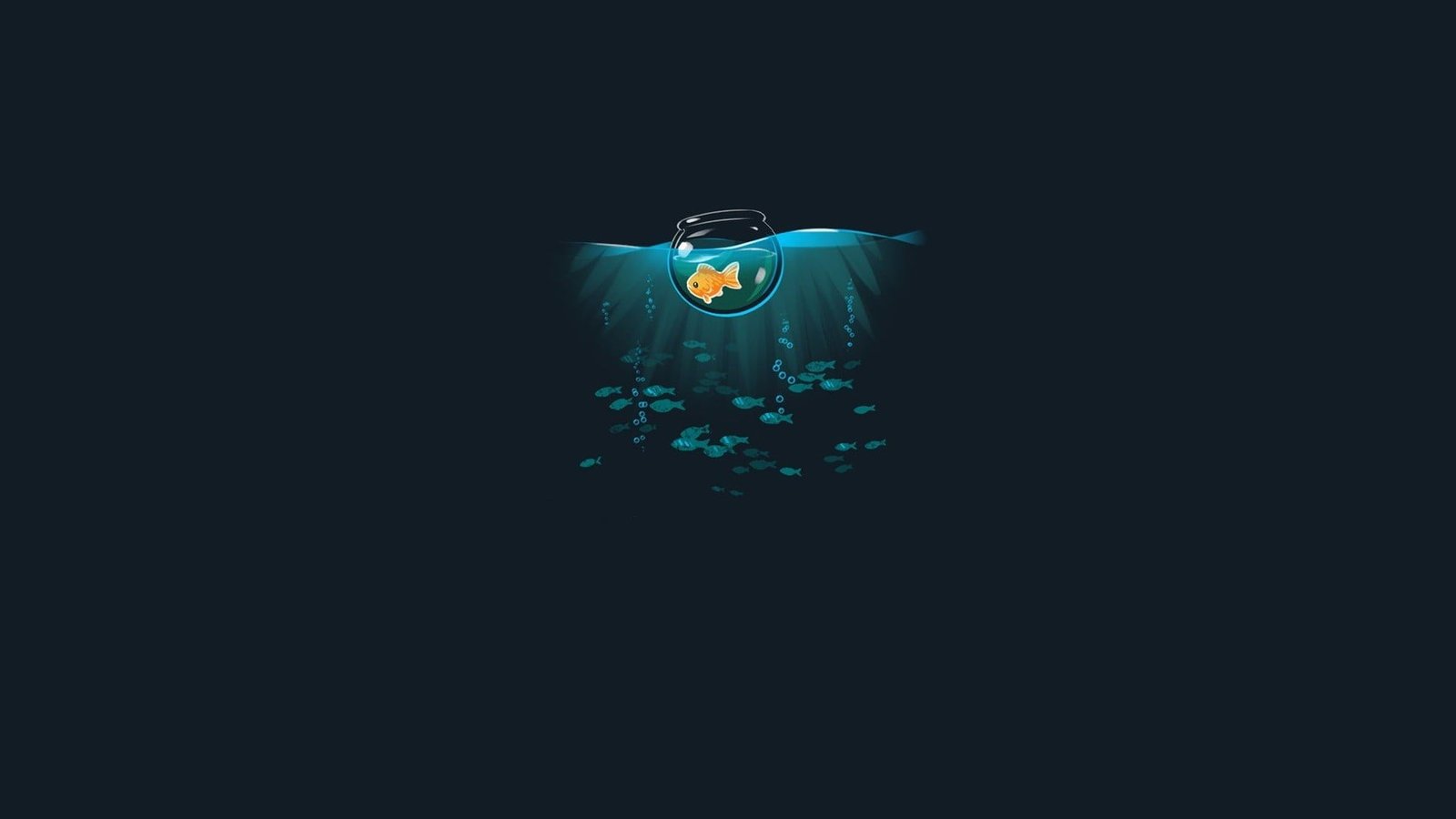orange fish illustration minimalism artwork simple threadless 2k