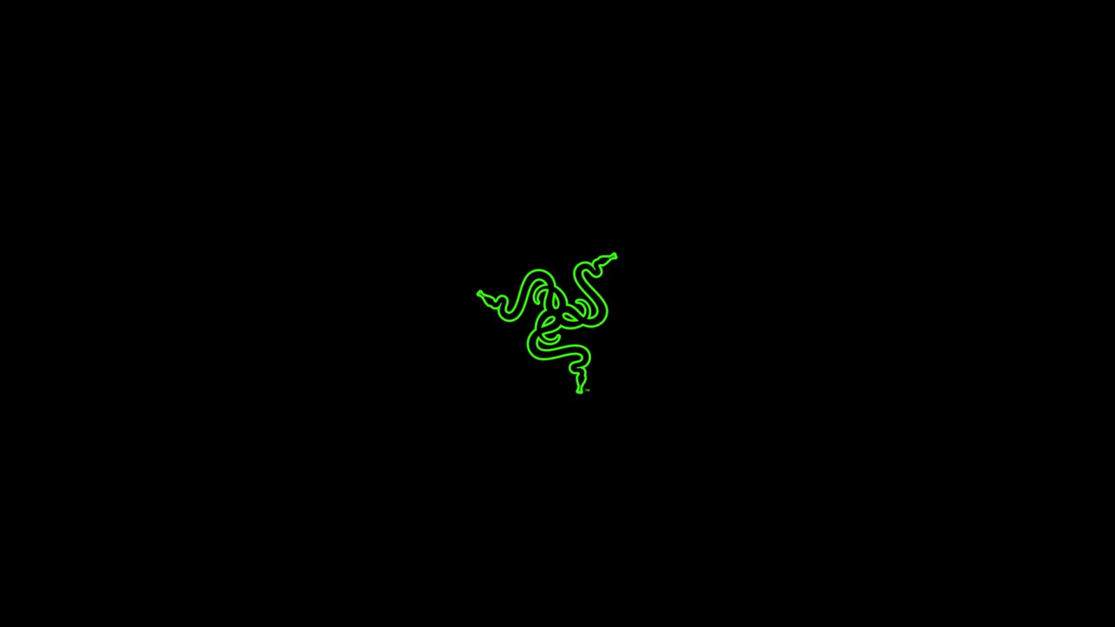Razer PC Master Race gaming copy space green color 2k