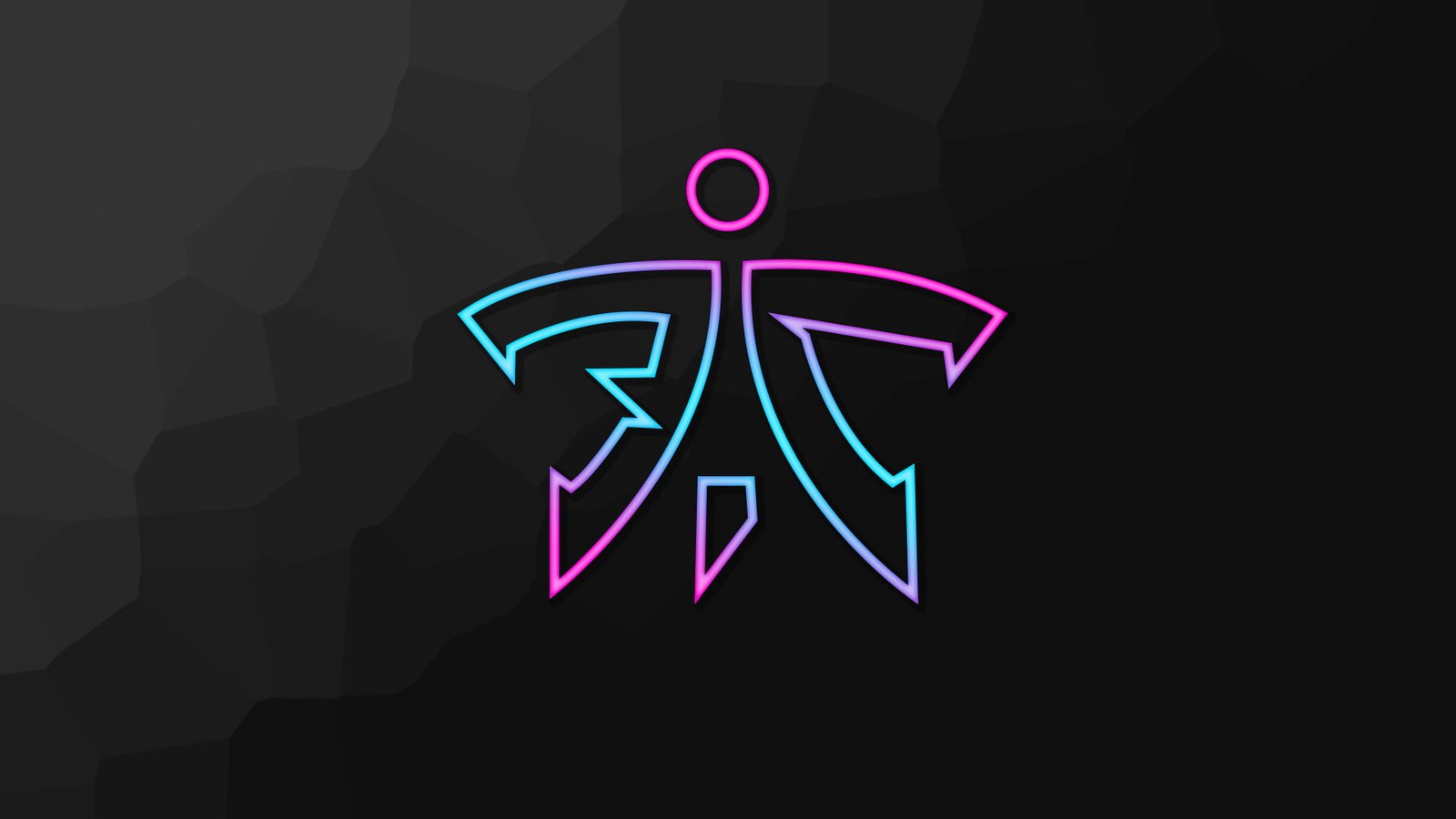 Video Game Fnatic Esports Gaming Team 2k