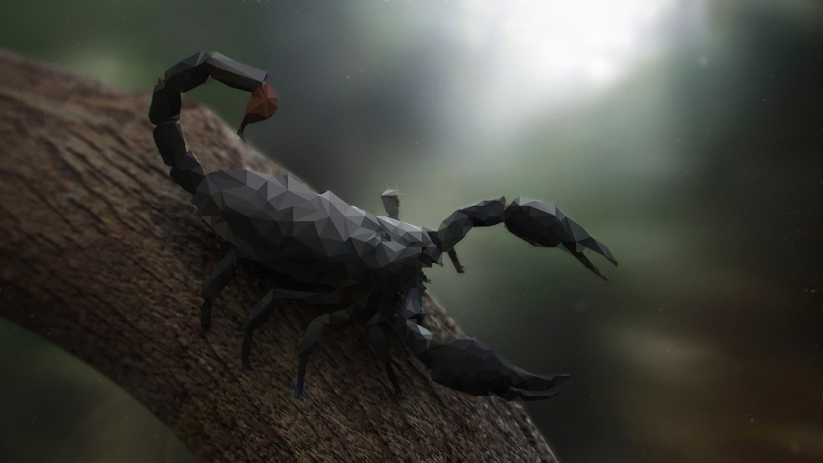 black scorpion nature animals trees digital art scorpions 2k