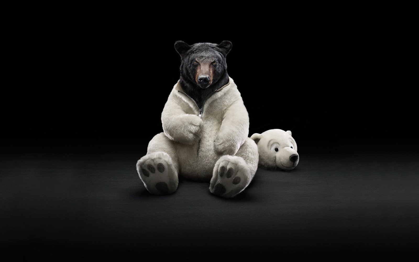 Grizzly bear wallpaper black bears digital art simple background 2k