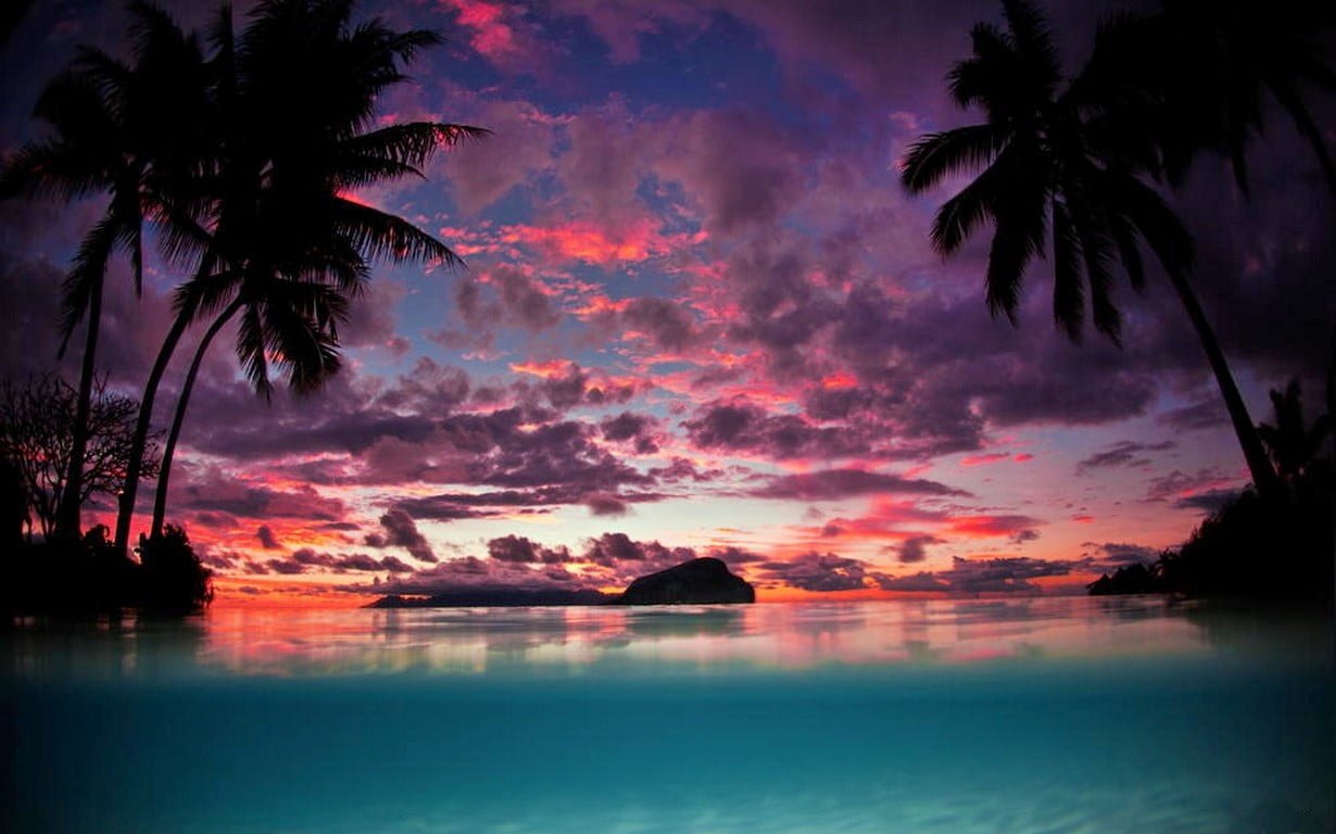 palm trees painting landscape nature Tahiti sunset island