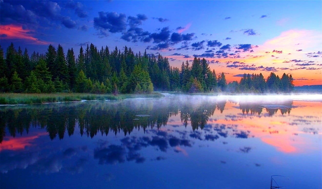 body of water morning mist Grand Teton National Park forest