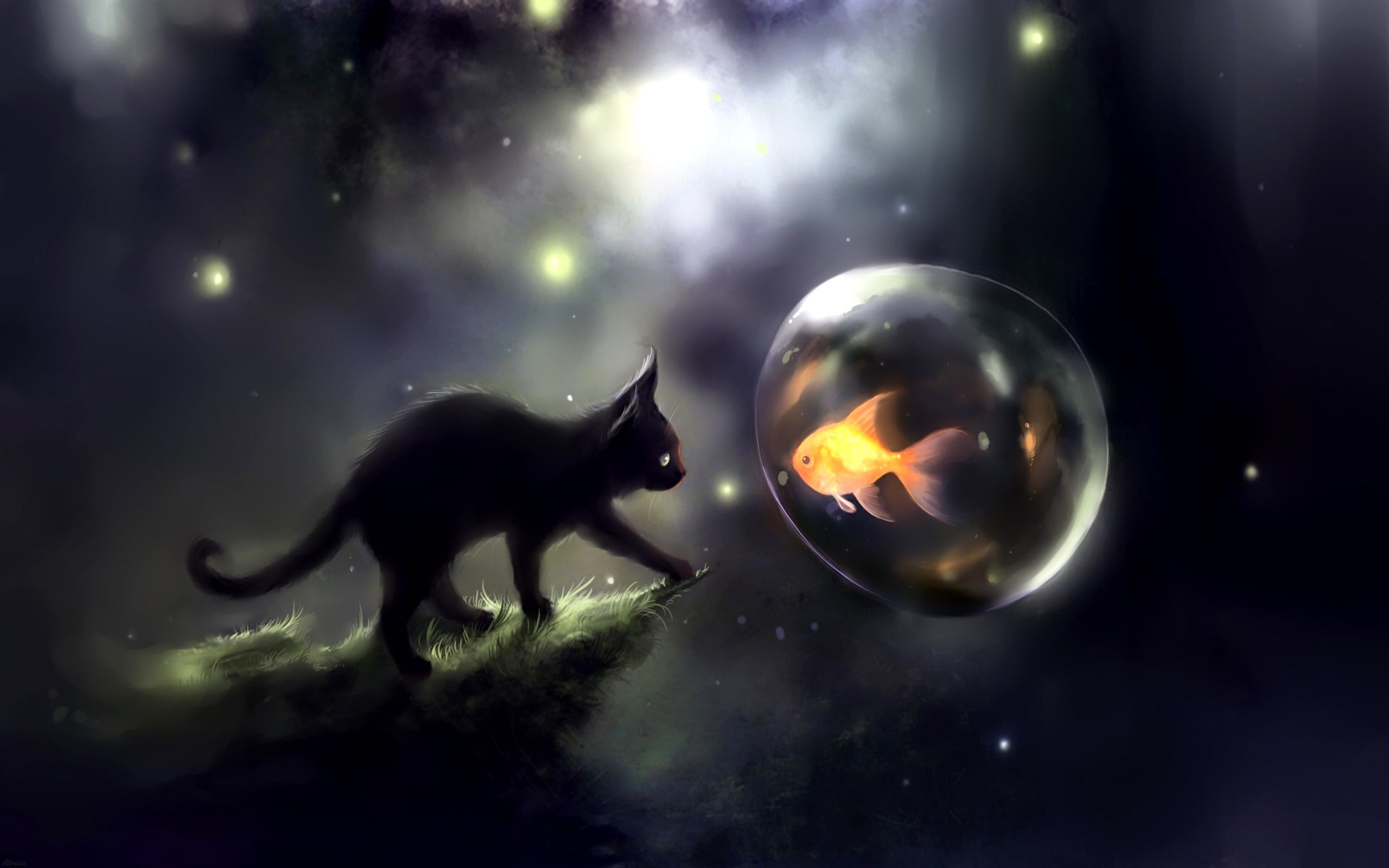 black cat and orange fish digital wallpaper Apofiss goldfish 2k