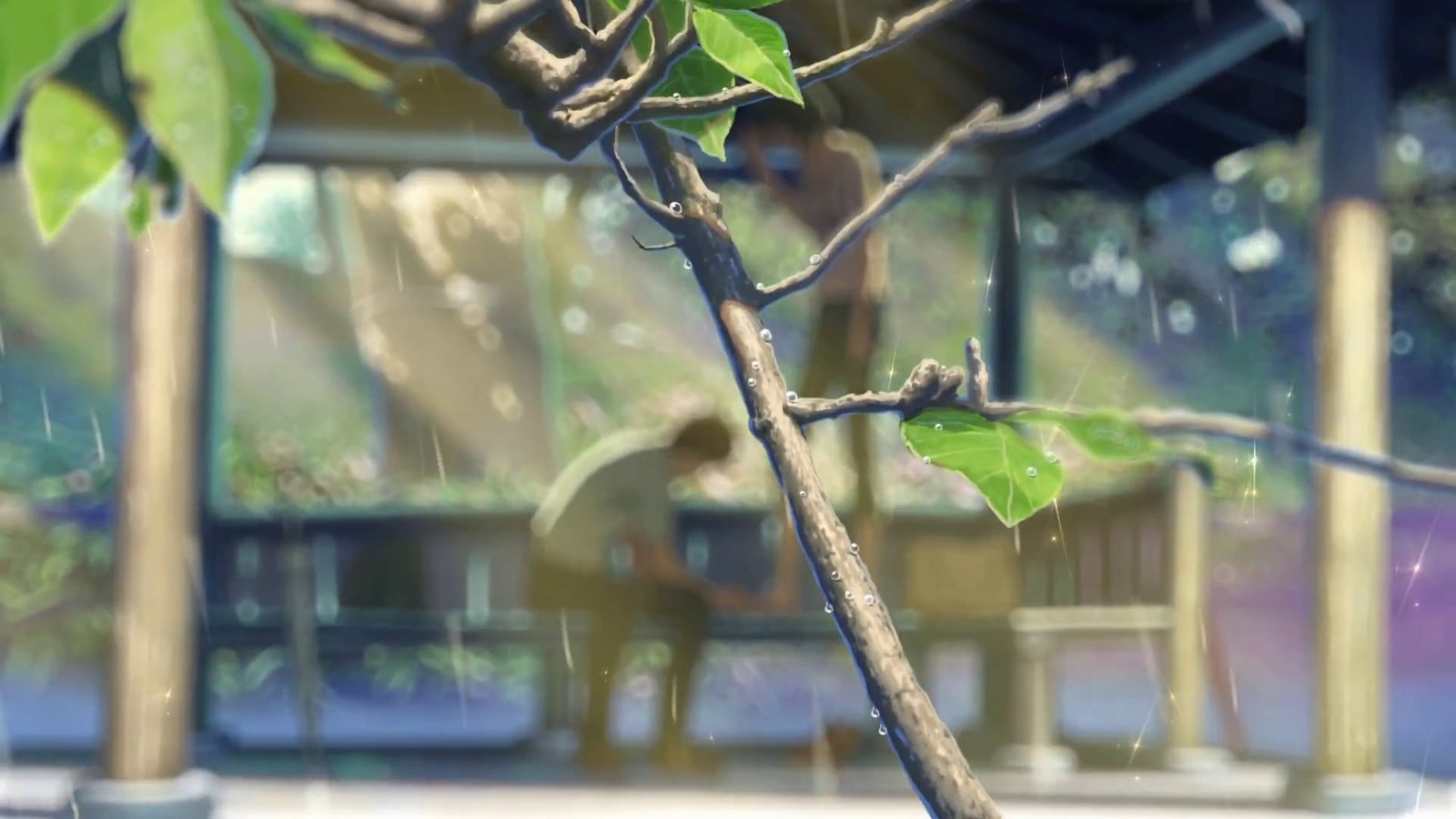 green leafed plant The Garden of Words anime Makoto Shinkai 2k
