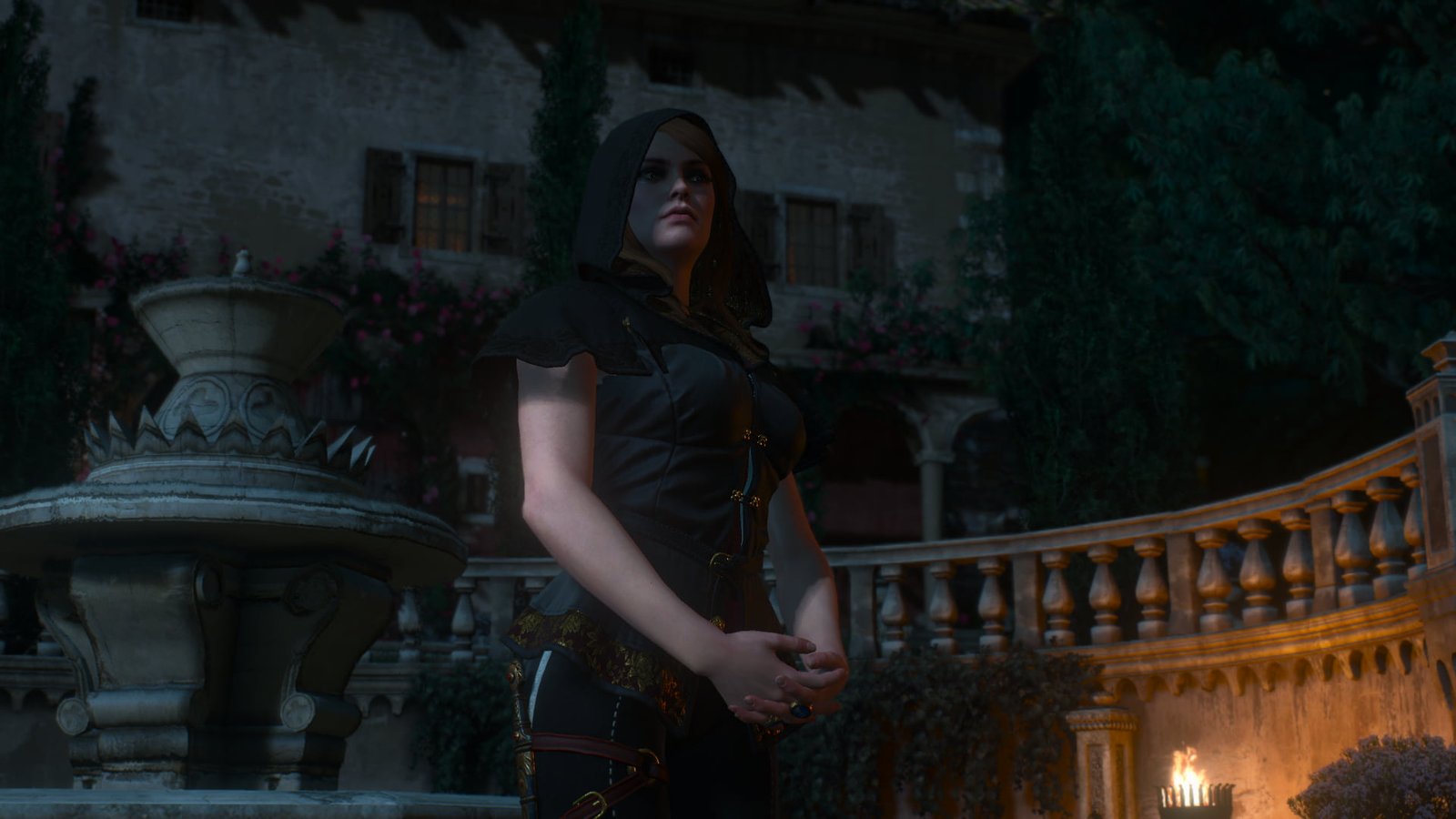 The Witcher 3 Wild Hunt Blood and Wine anna henrietta 2k