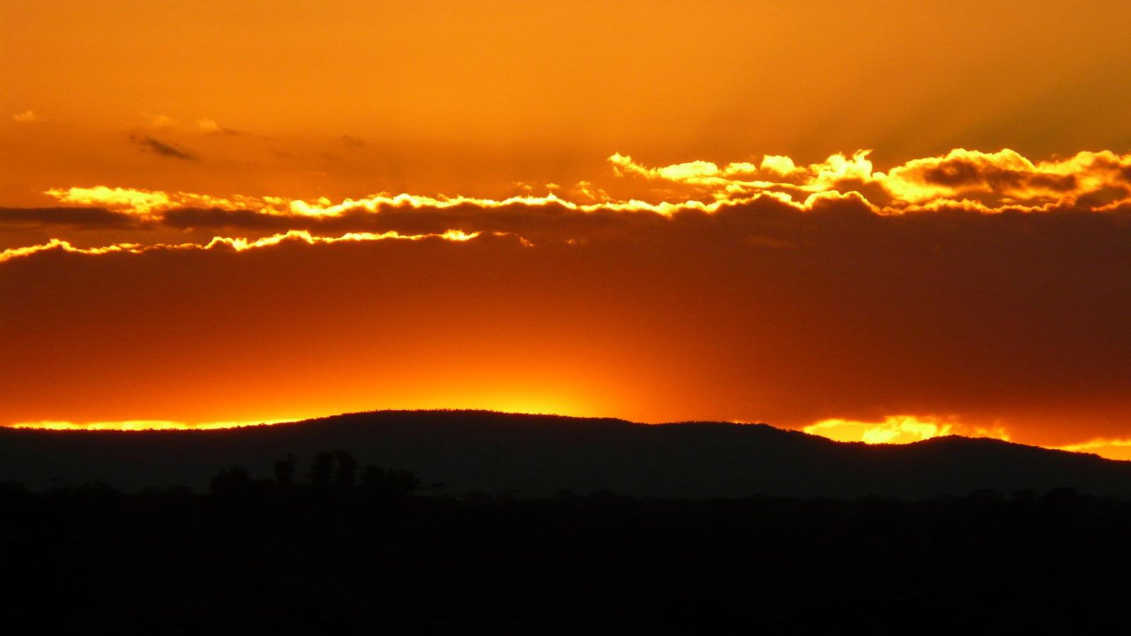 nature sun sunset star sunrise celestial body sky silhouette 2k