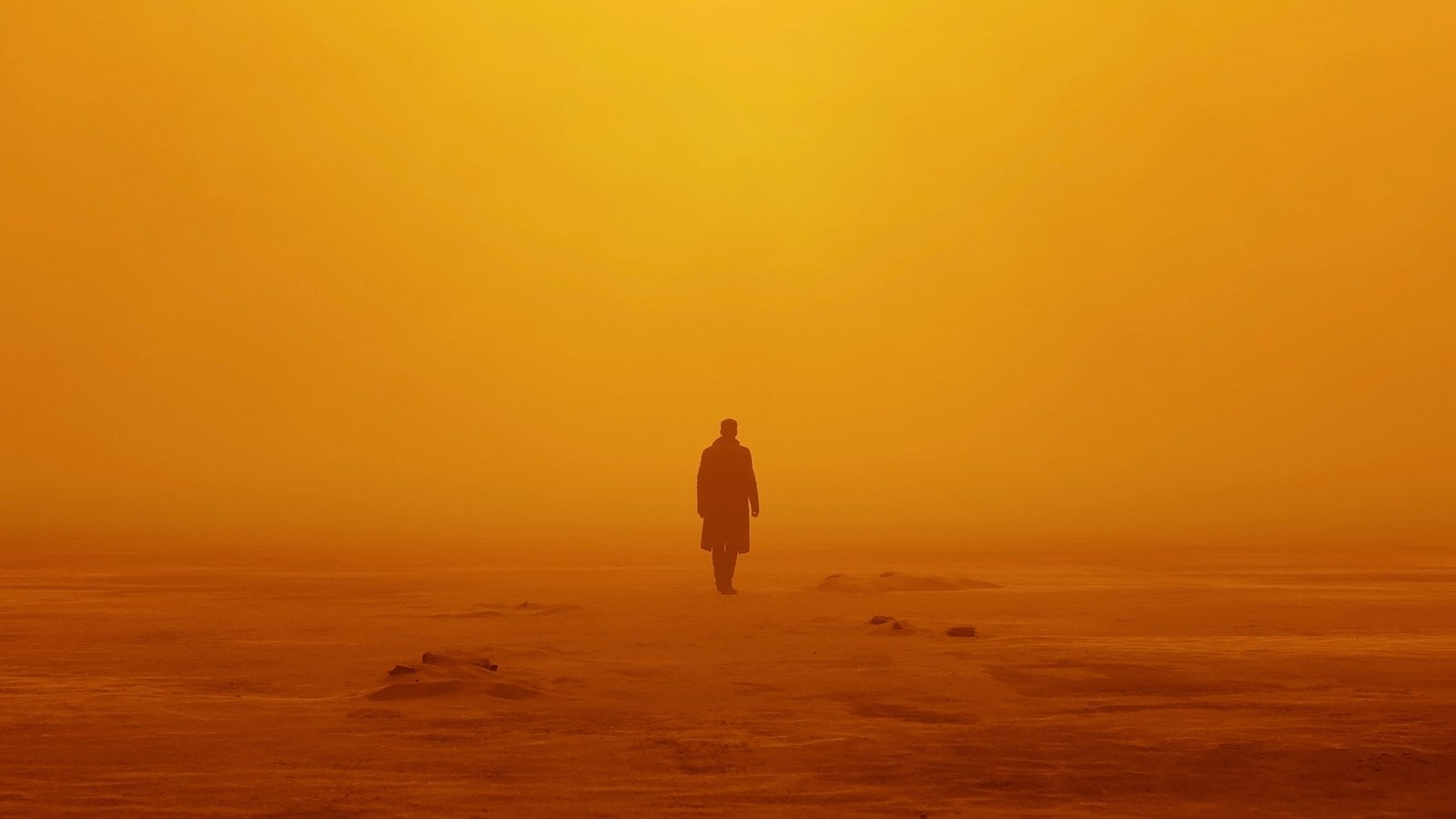 Officer K Blade Runner sunset one person orange color 2k