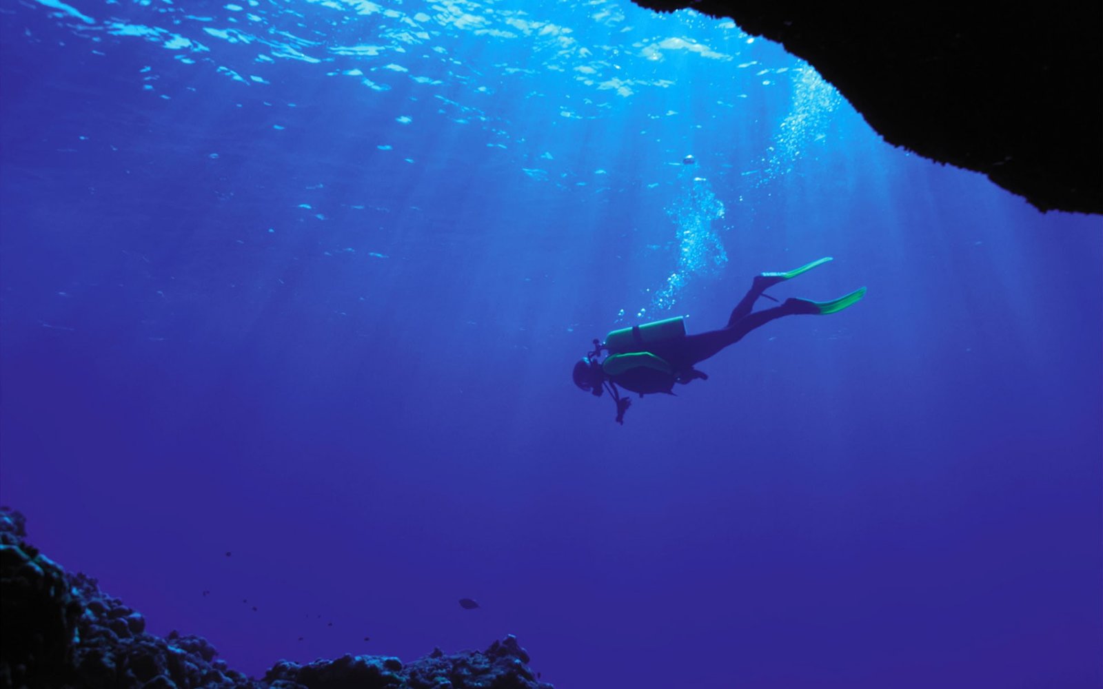 photography sea water underwater nature divers bubbles 2k