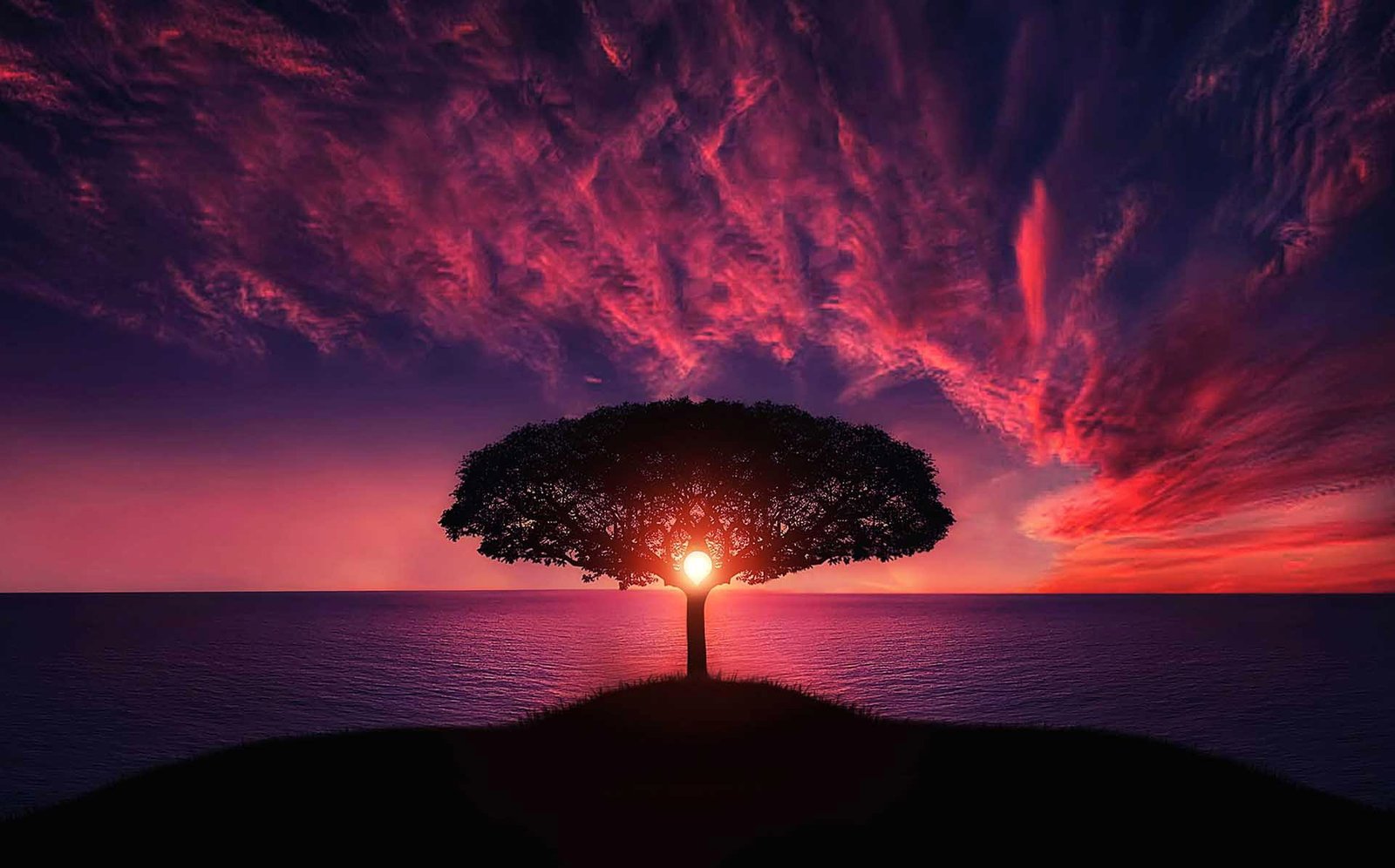 Sun in the middle of trees under purple skies clouds photo 2k