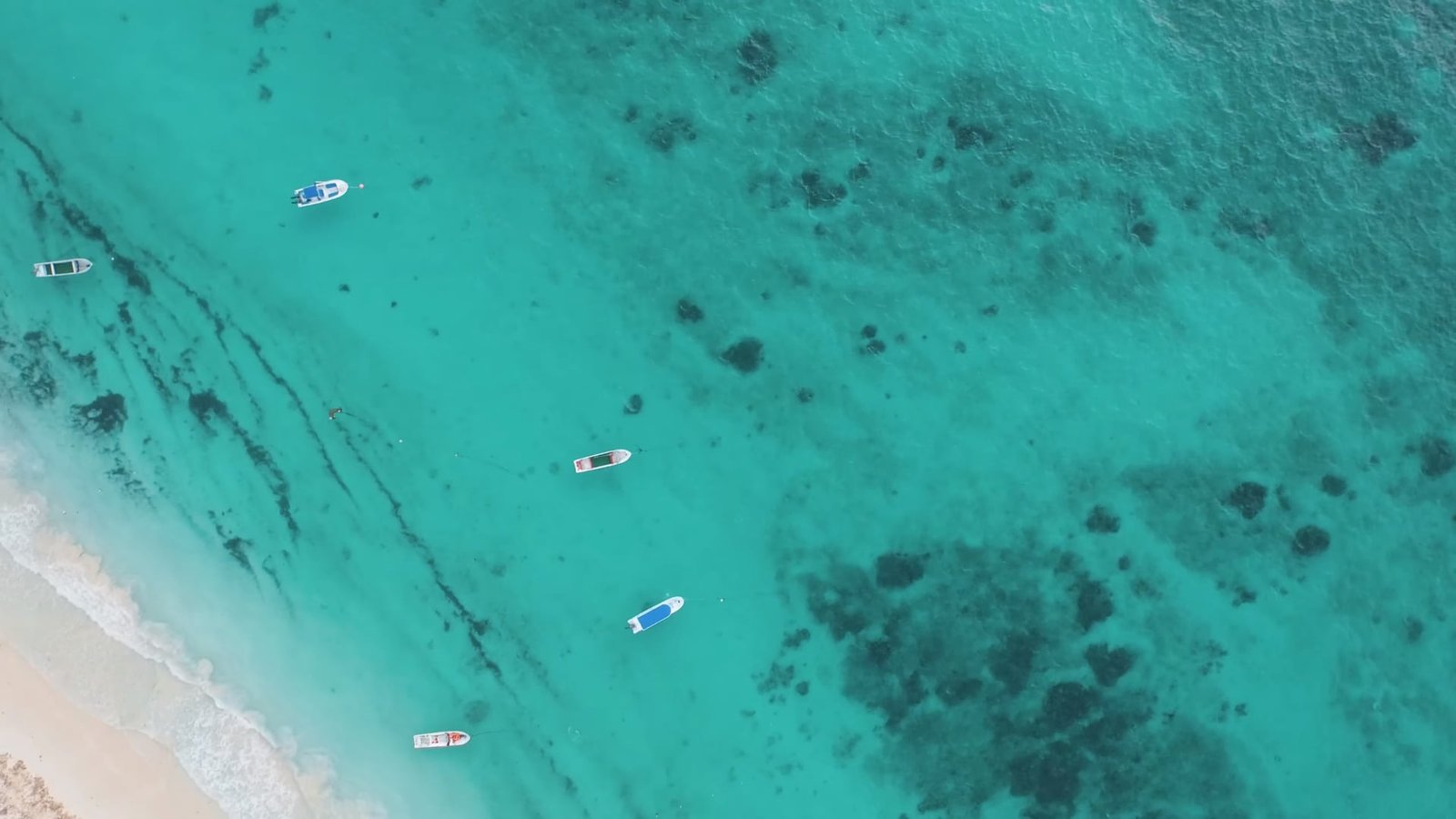 teal and white floral textile boat sea beach water turquoise colored 2k