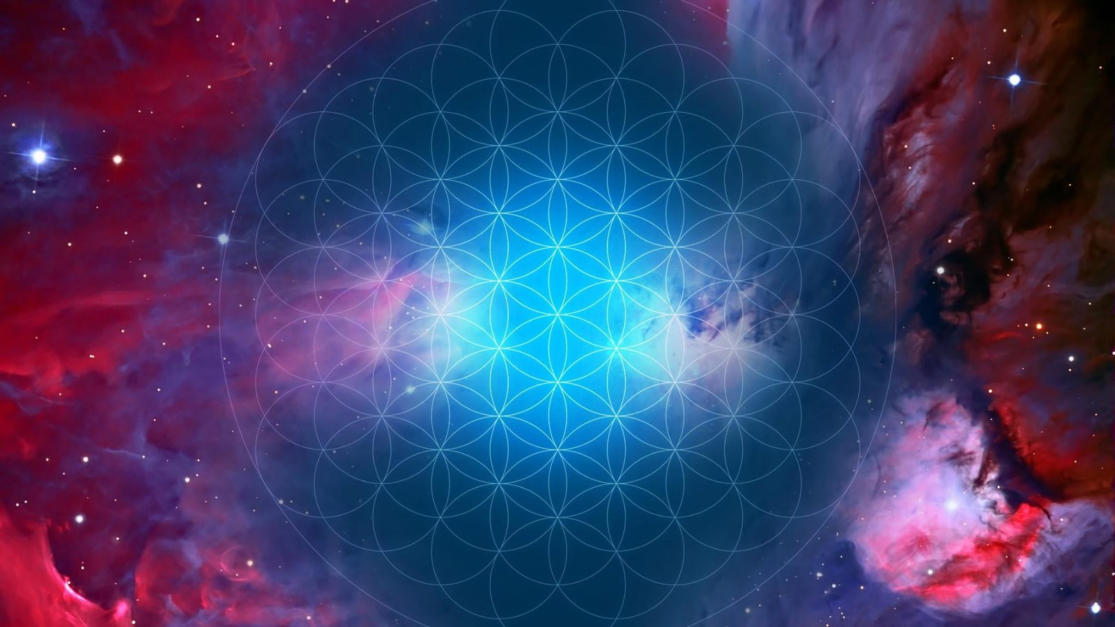 art sacred geometry flower of life space mandala seed 2k