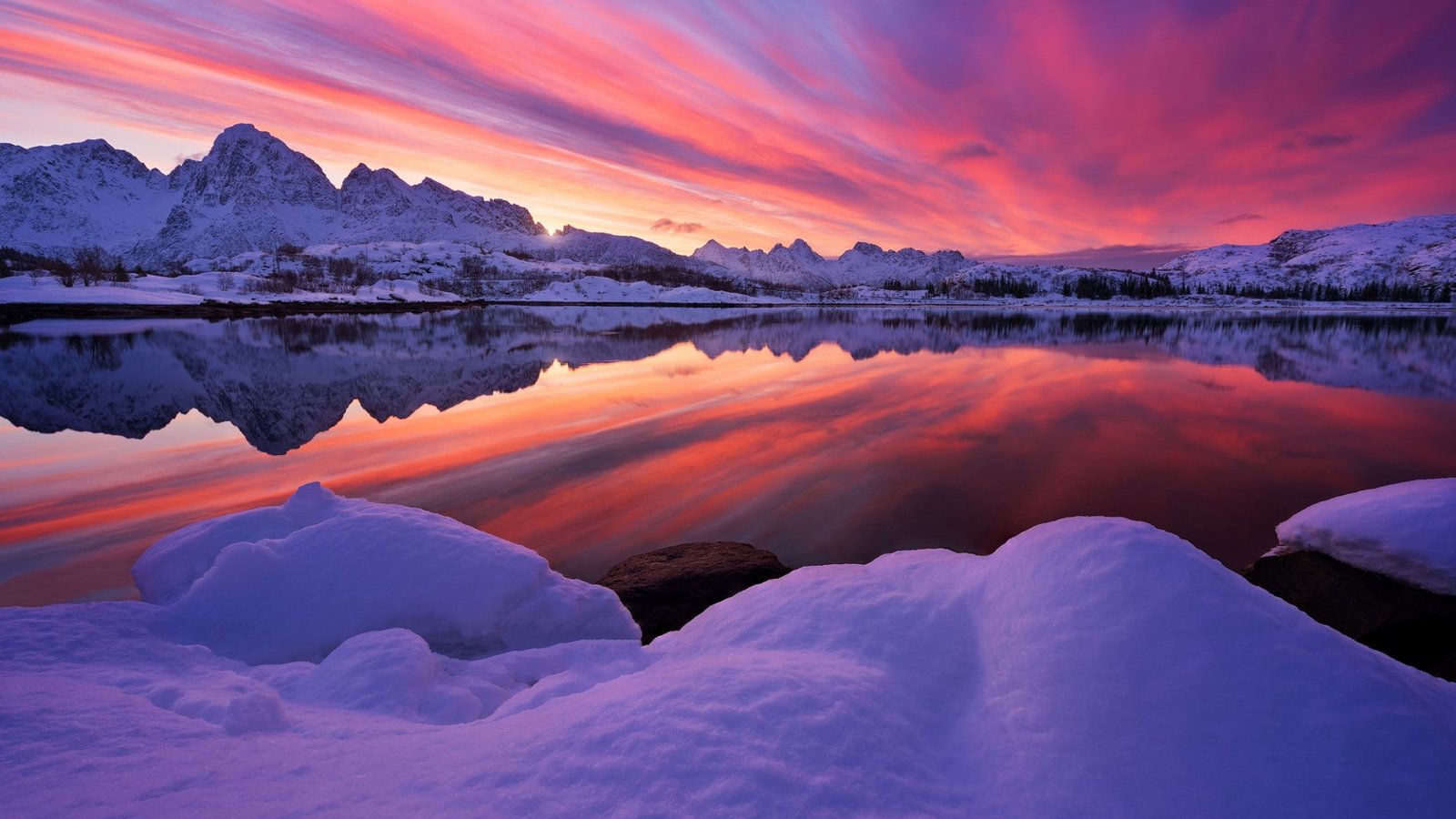 Arctic Delight HD 2k