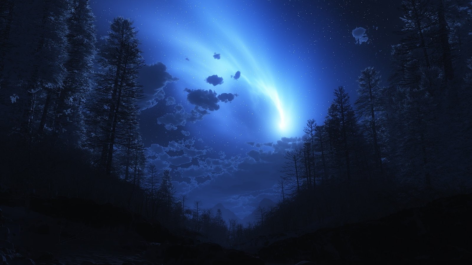 Aurora Borealis Trees Blue Northern Lights HD nature 2k
