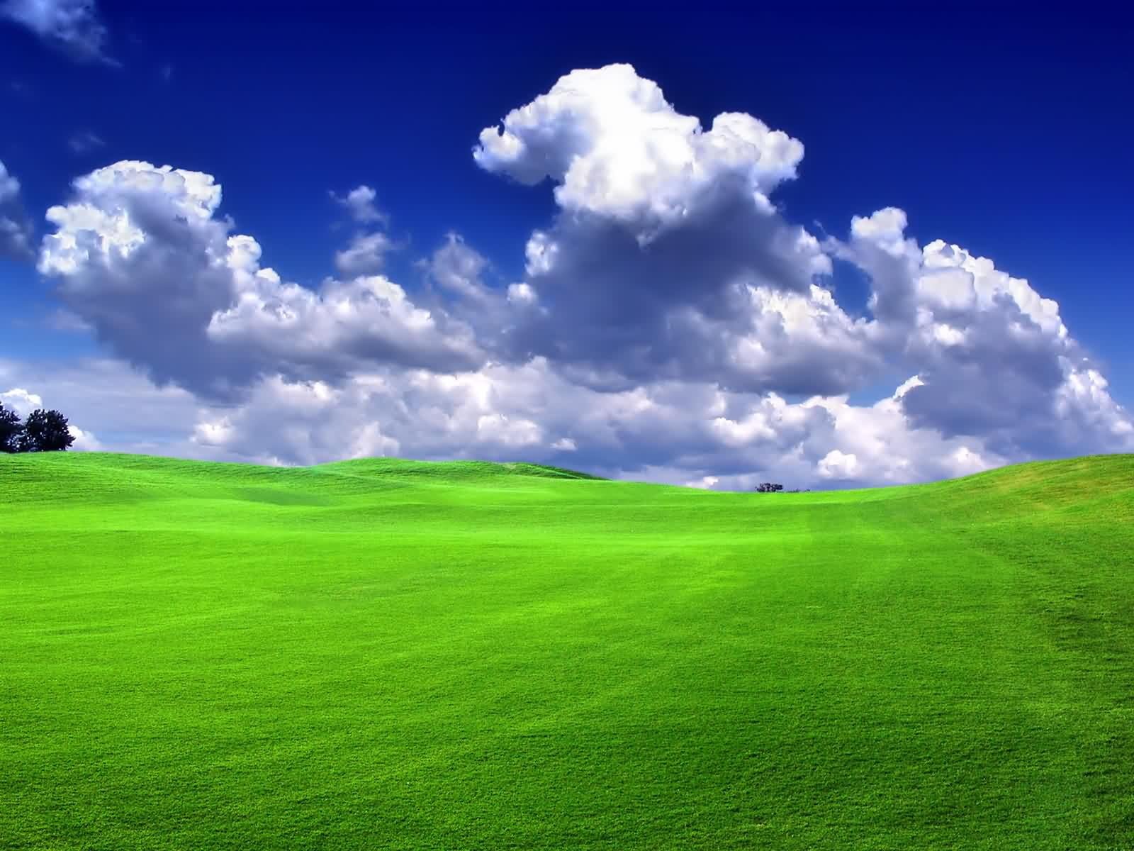 Beautiful greenland white sky and green grass field Nature 2k