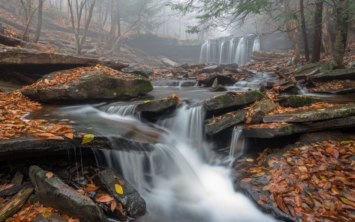 creek time lapsed photography morning mist waterfall leaves