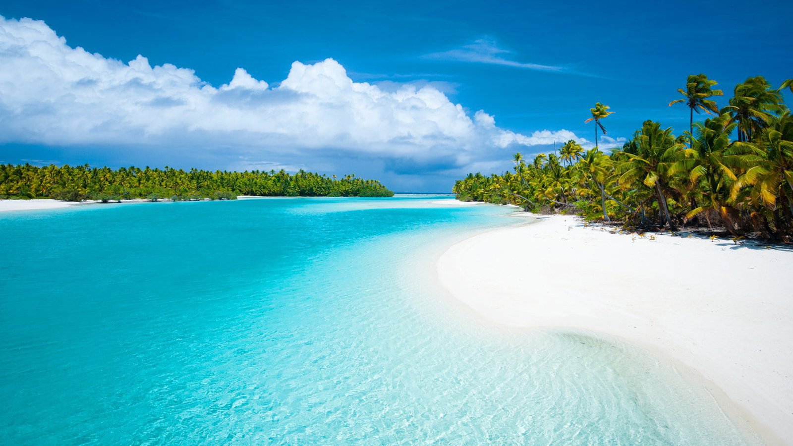 Australia South Pacific Cook Islands Aitutaki Landscape Tropical Forest Papy And Coconut Trees White Sandy Beaches Desktop Hd Wallpaper 2k