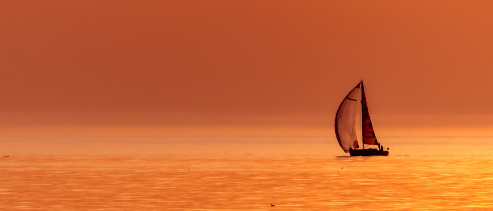 sail boat during sunset Summer Sailing Beach Kijkduin 2k