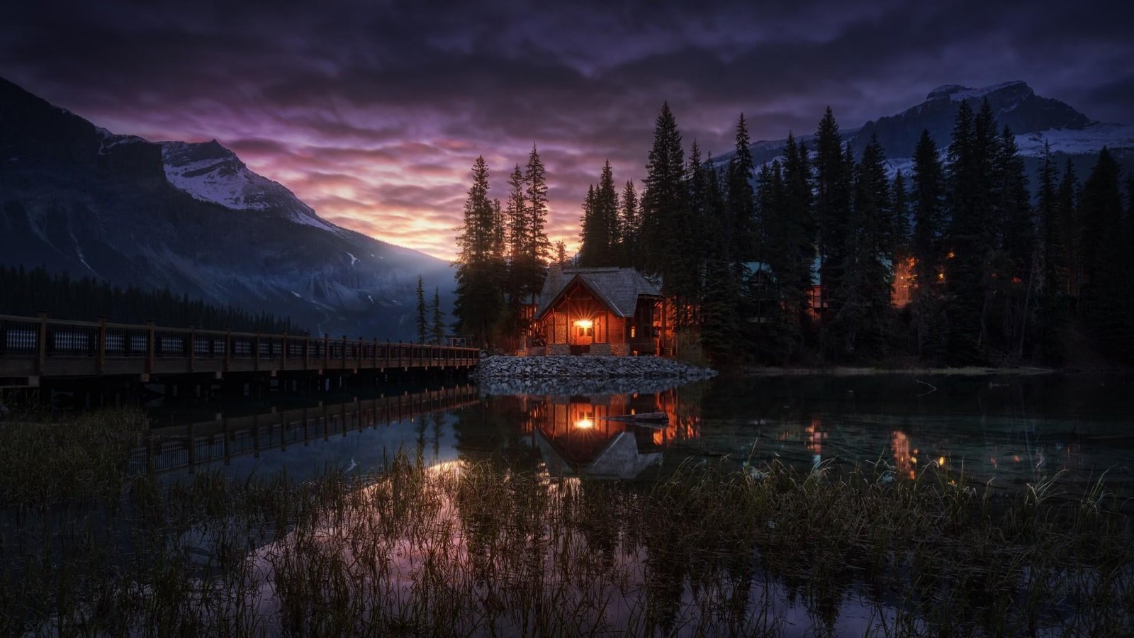 tree british columbia yoho national park reflected rocky mountains 2k