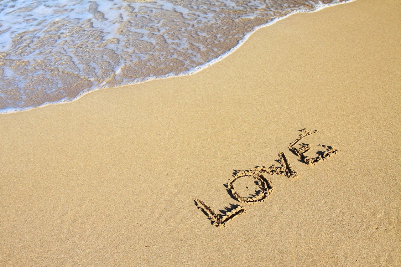 white and black floral textile beach coast love romance romantic