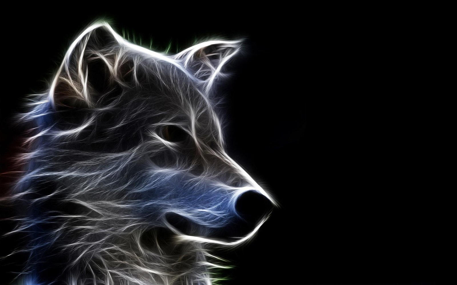 Wolf Abstact Art abstract art black white canine nature wild 2k