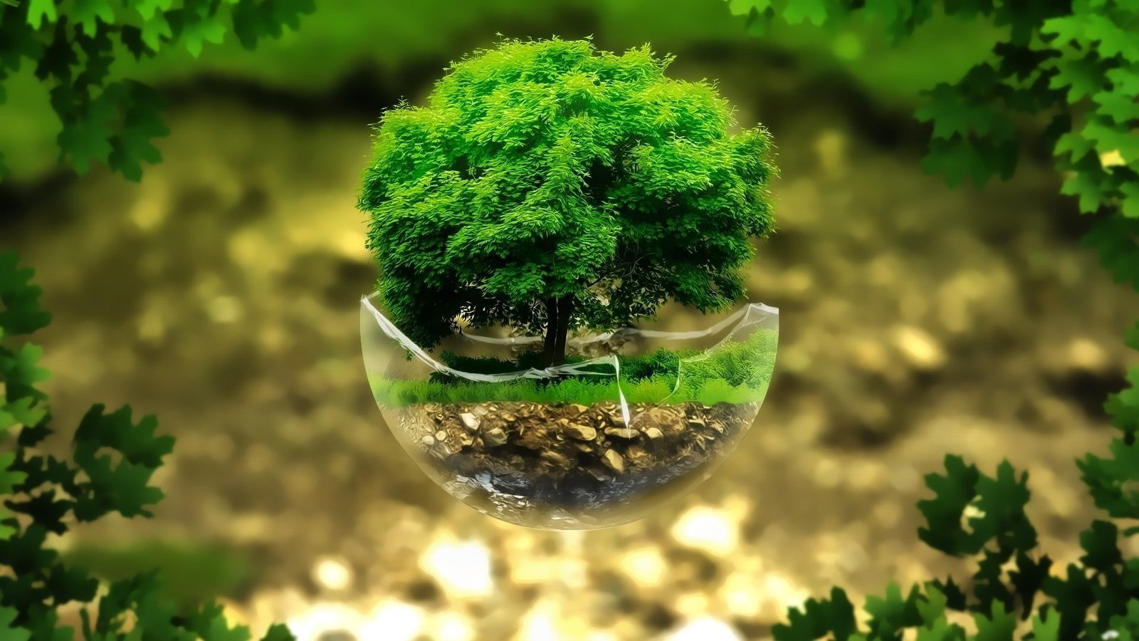 nature green leaves plants digital art floating island trees glass broken sphere grass rock 2k