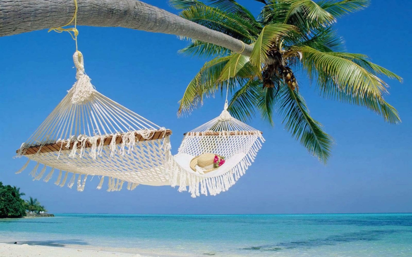 Summer relax place white hammock beach 2k