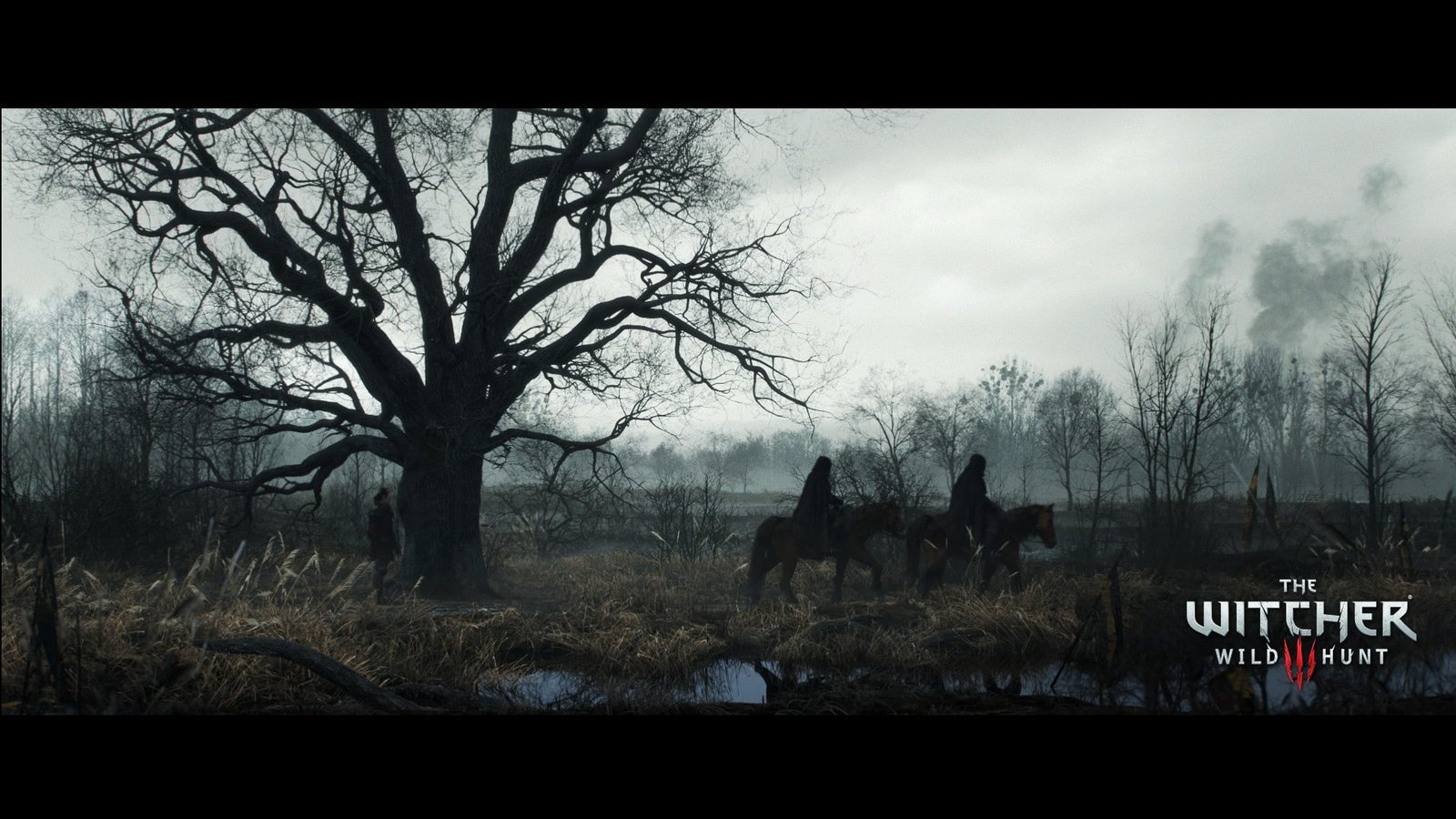 The Witcher 3 Wild Hunt tree mammal plant 2k