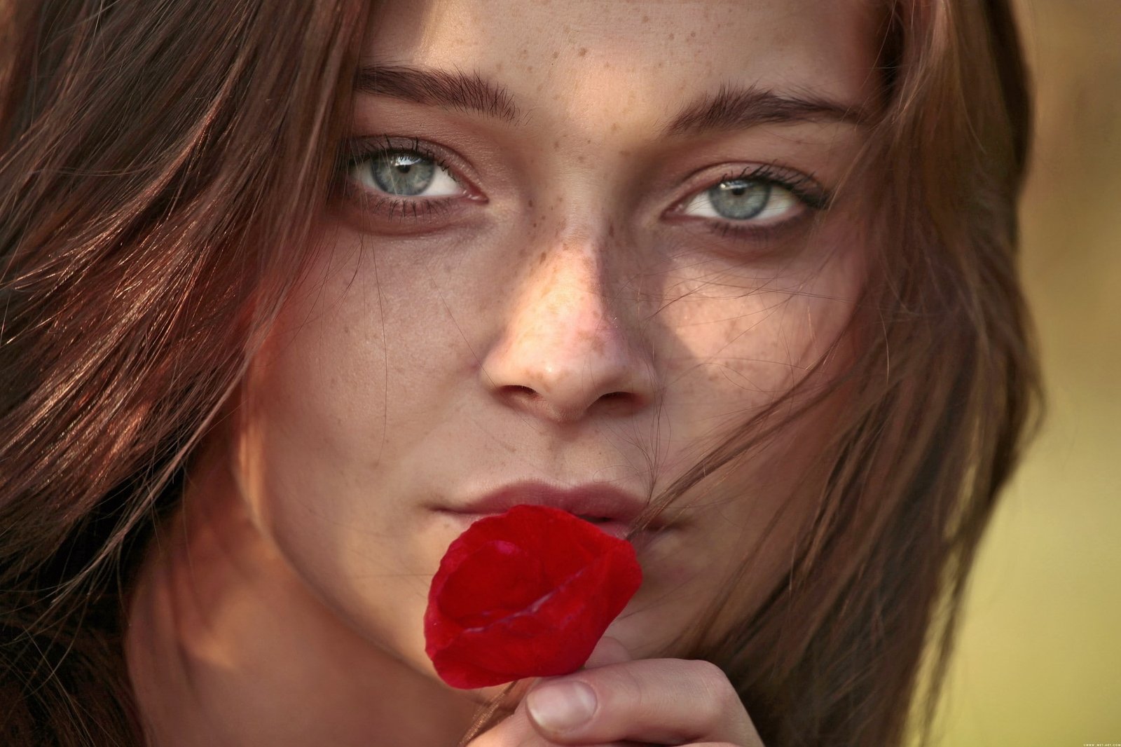 women indiana a angelina b Nature Beaches HD Art 2k