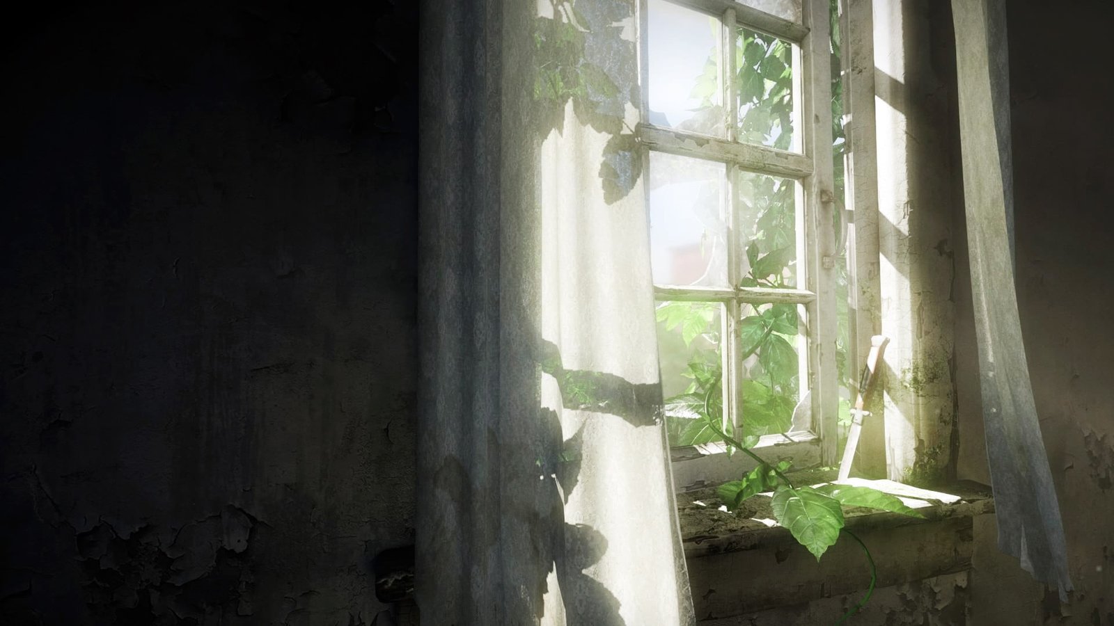 green plant near white curtain The Last of Us window video games 2k