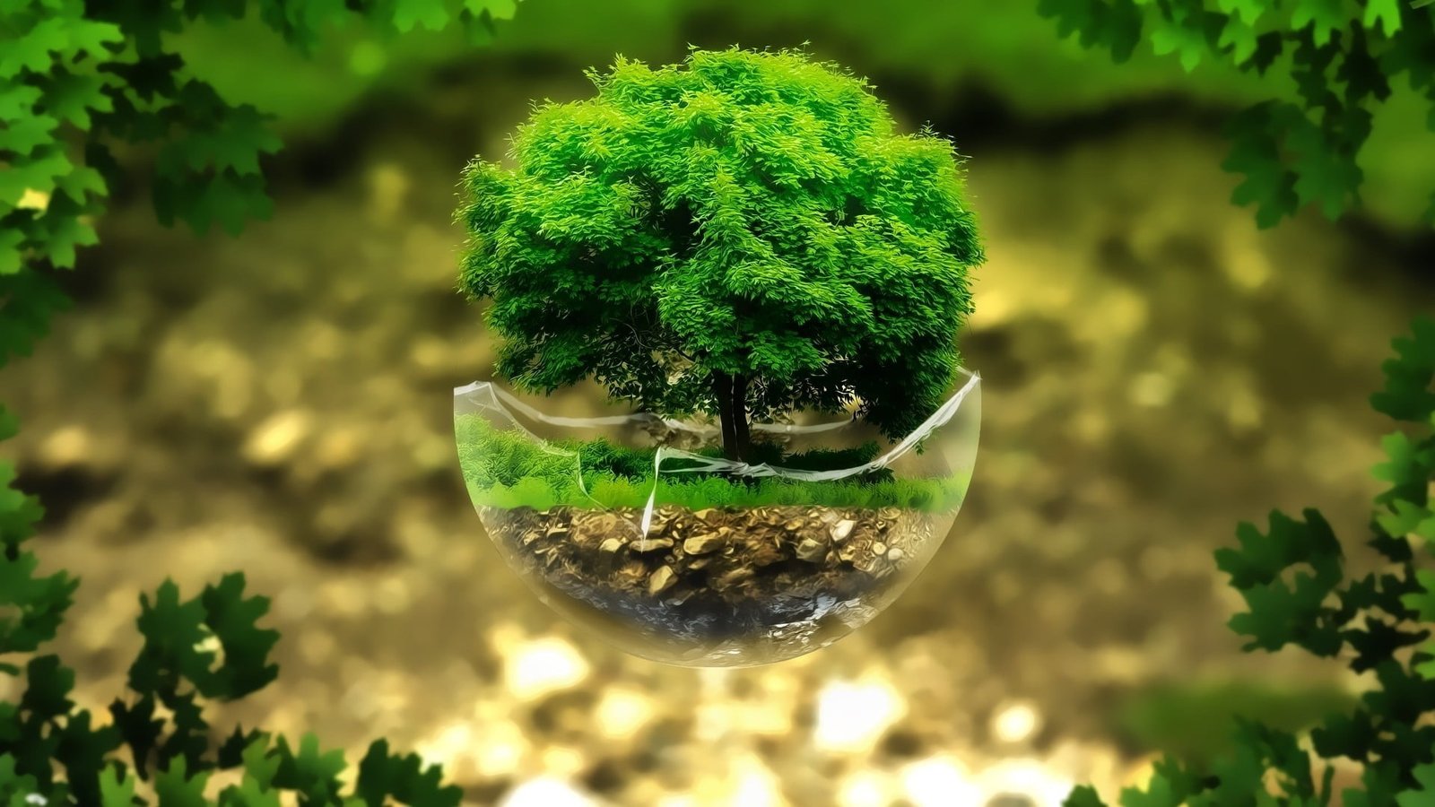 green leaf tree nature leaves plants digital art floating island 2k