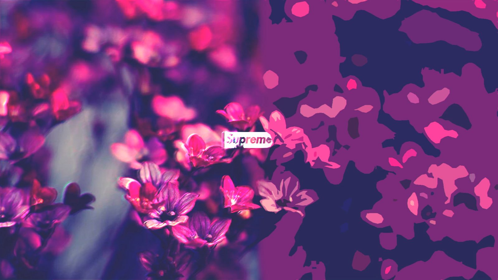 landscape nature supreme 2k