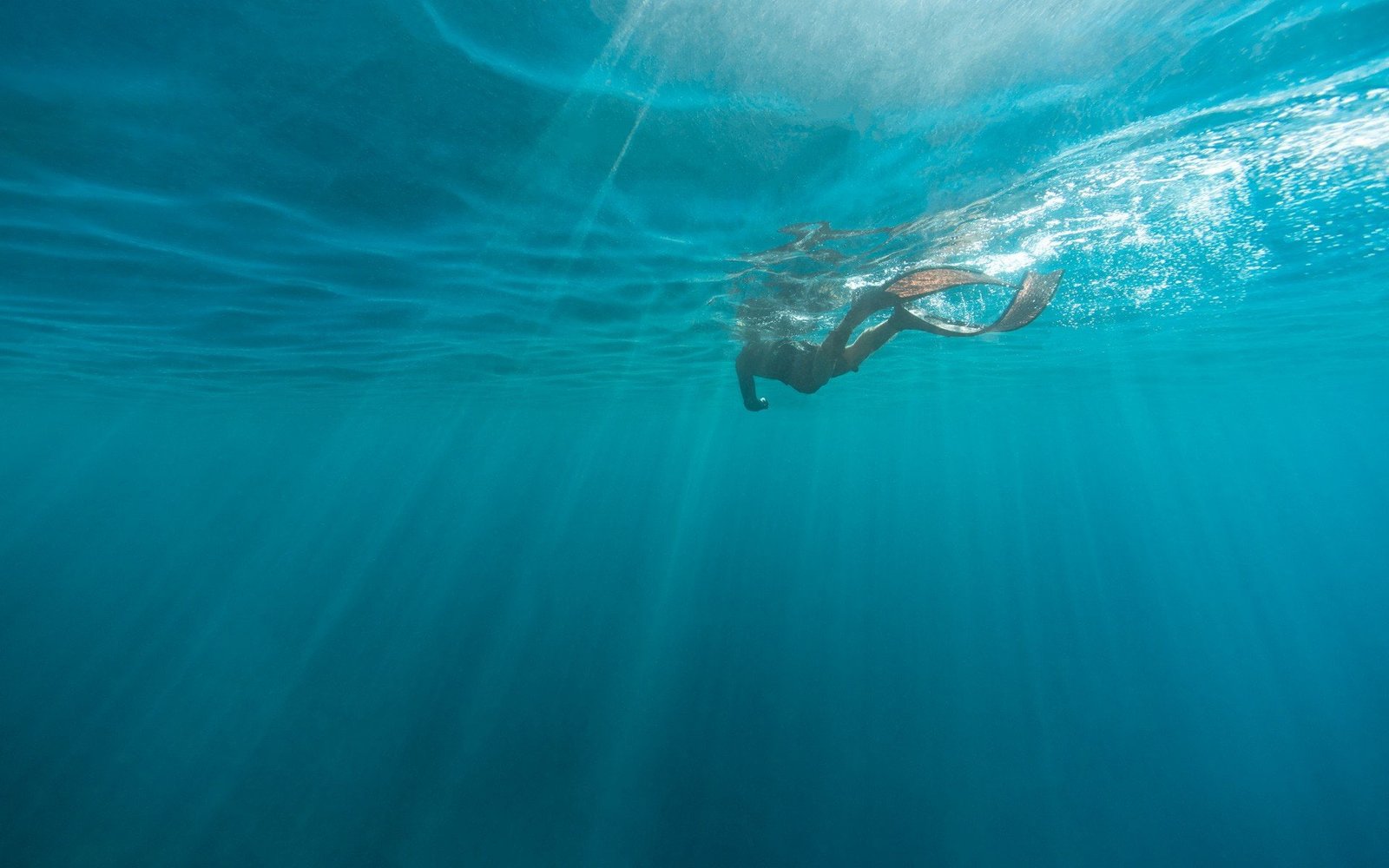 microsoft windows 10 swimming underwater sea undersea 2k