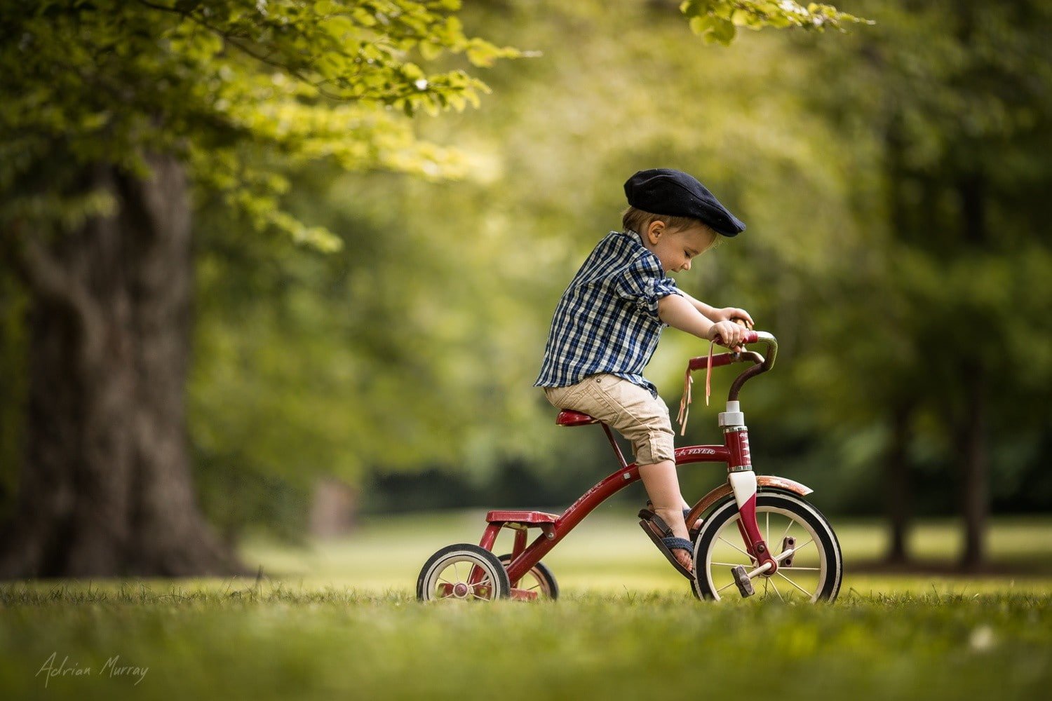 nature bicycle children plant transportation full length 2k