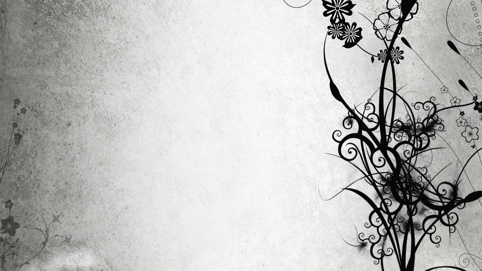 abstract flowers gray patterns floral white background Nature Flowers HD Art 2k