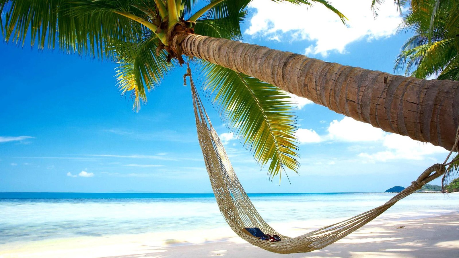 Beaches coconut trees hammocks blue sea sky scenery 2k
