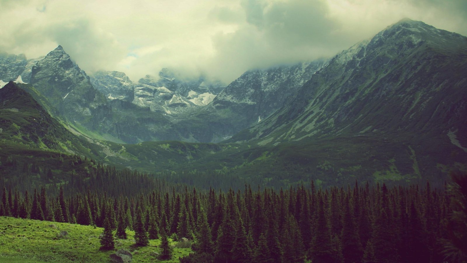 Cloud veil covering the green mountains leafed trees nature 2k