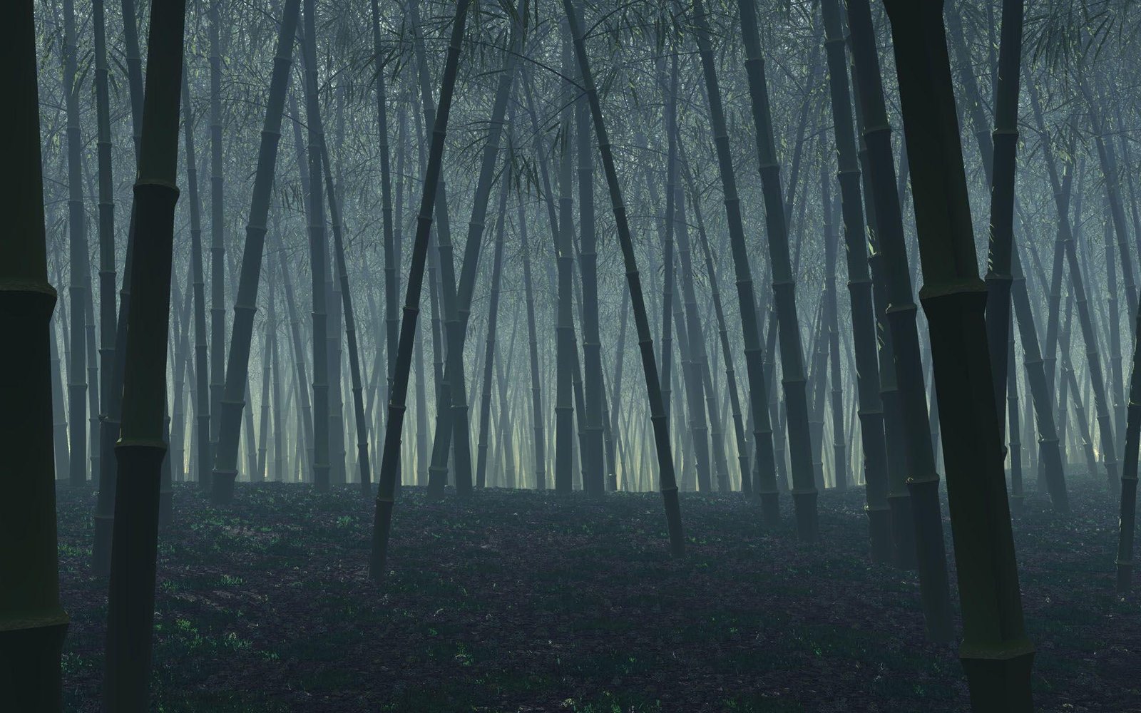 Dark bamboo forest black trees nature 2k