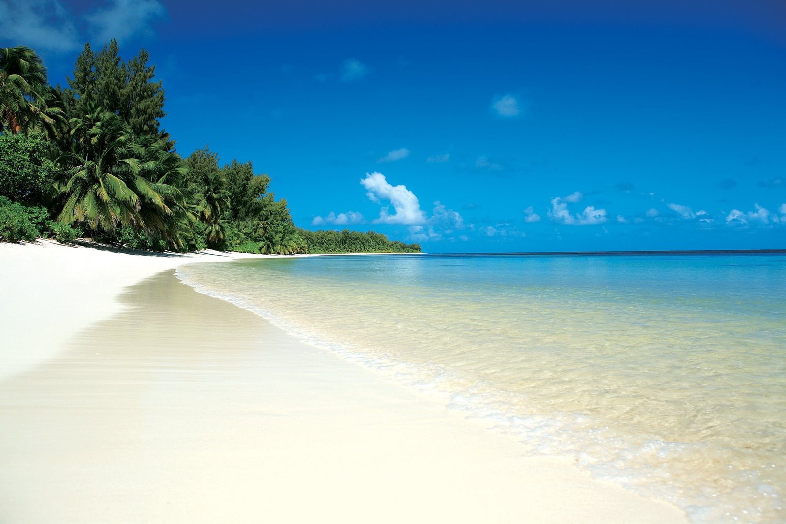 white sand beach shoreline tropics palm trees relax sea island 2k
