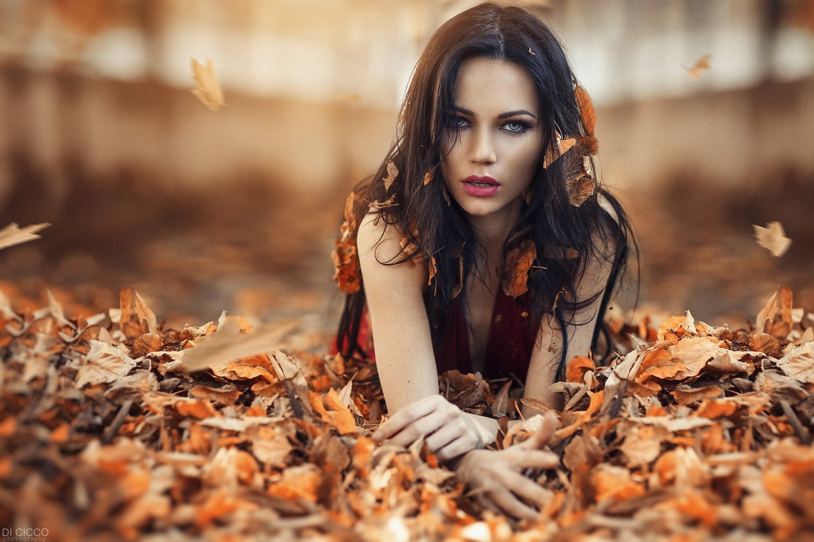 women's red dress close up photo of woman in plunging neckline top on brown leaf flowers 2k
