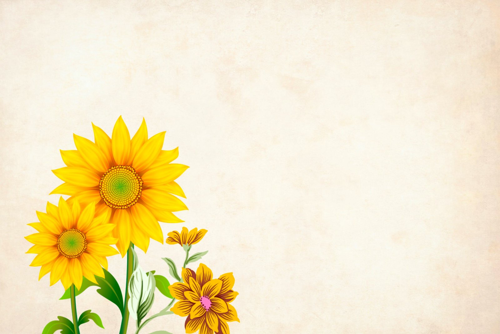 yellow flower background with copyspace floral border garden frame 2k