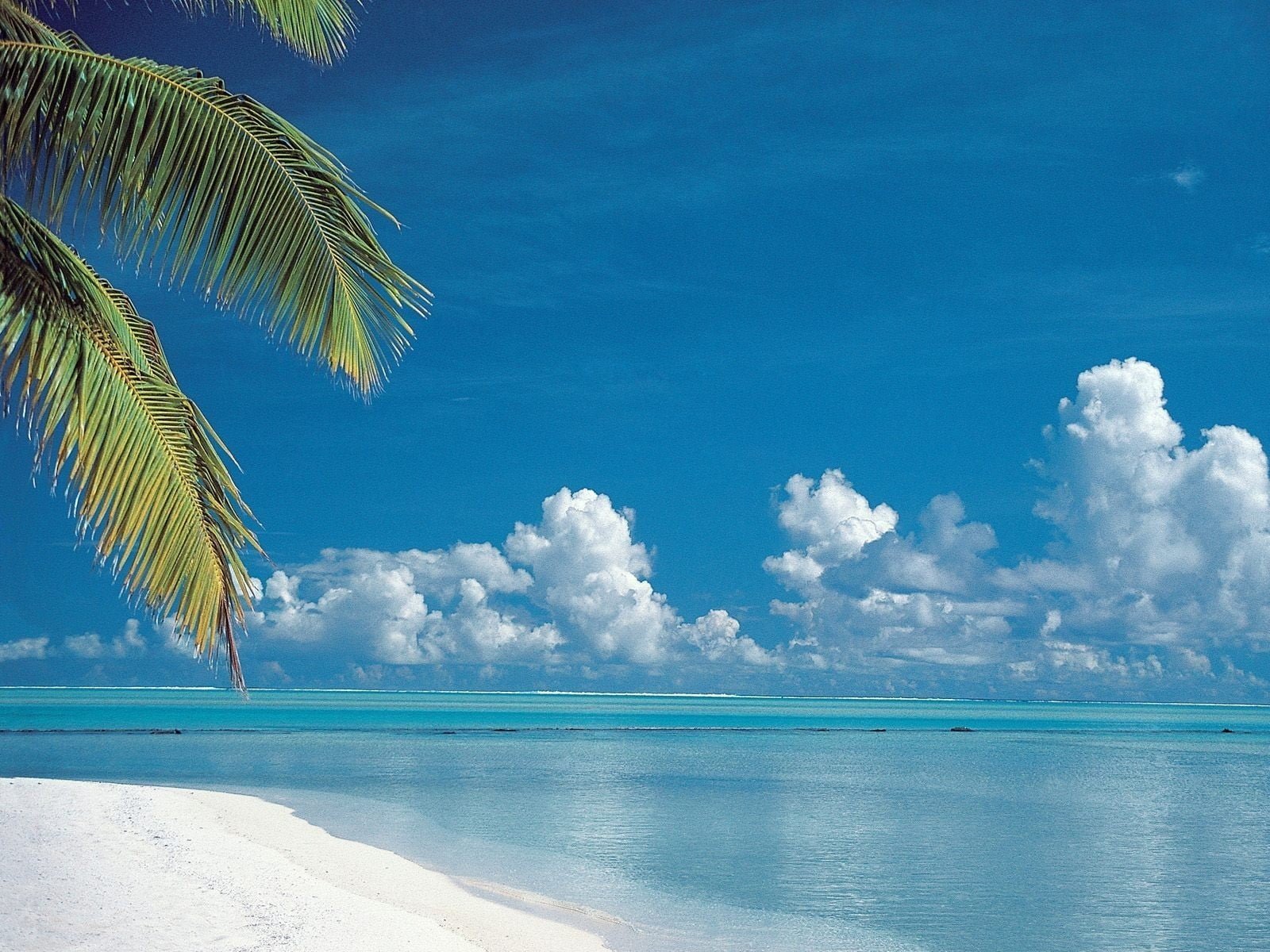 blue and white abstract painting beach sky sea tropical climate 2k