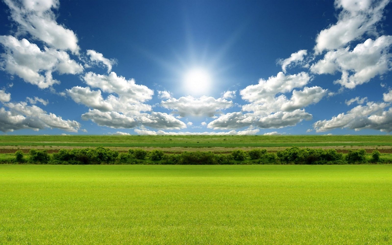 hd full nature inspired sky grass environment 2k