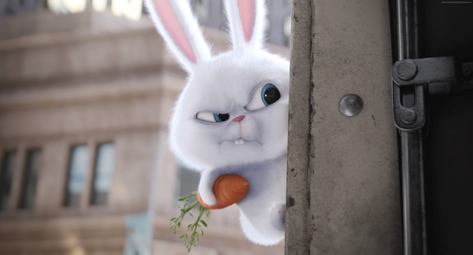 rabbit cartoon The Secret Life of Pets Best Animation Movies 2k 4k