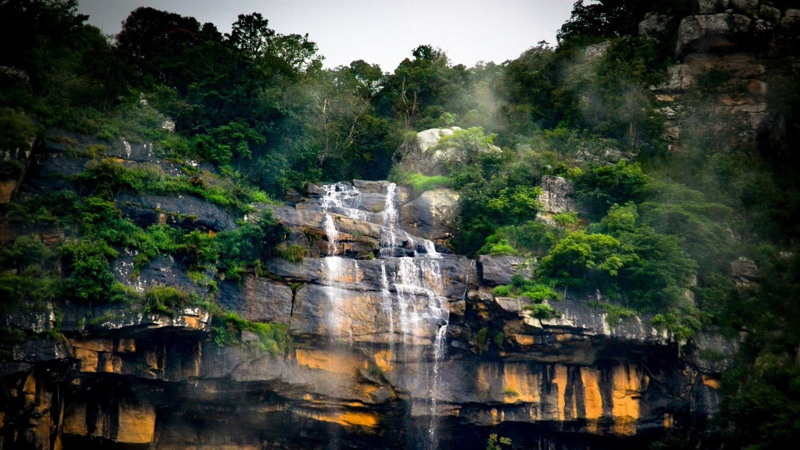 waterfall photography india nature ooty plant tree beauty in 2k