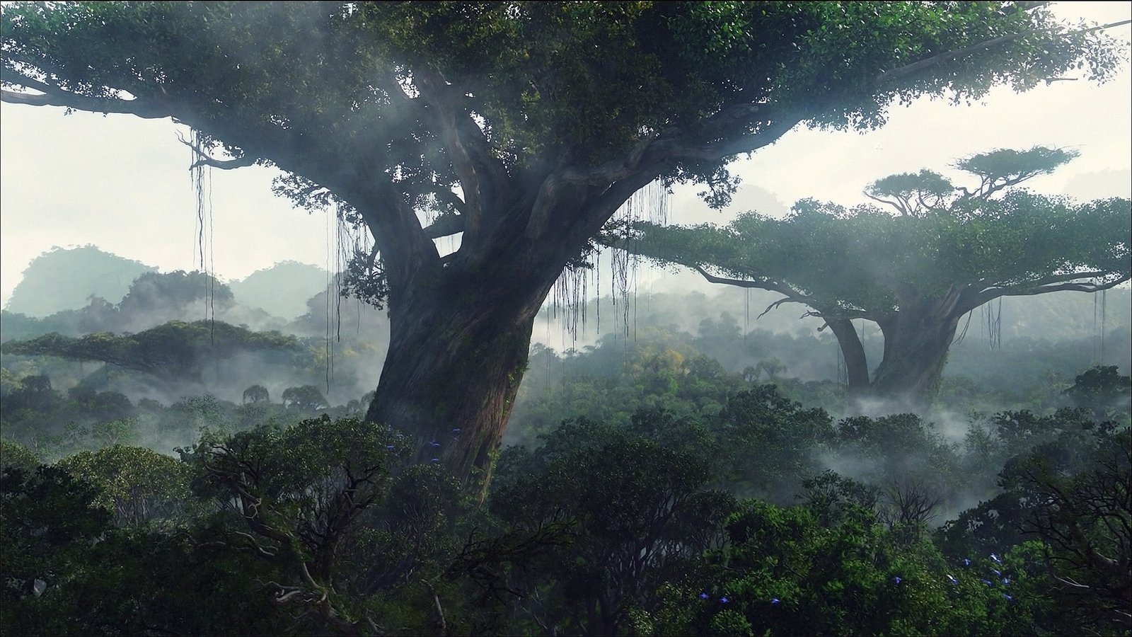 Avatar nature Pandora wood tree plant fog forest beauty in 2k