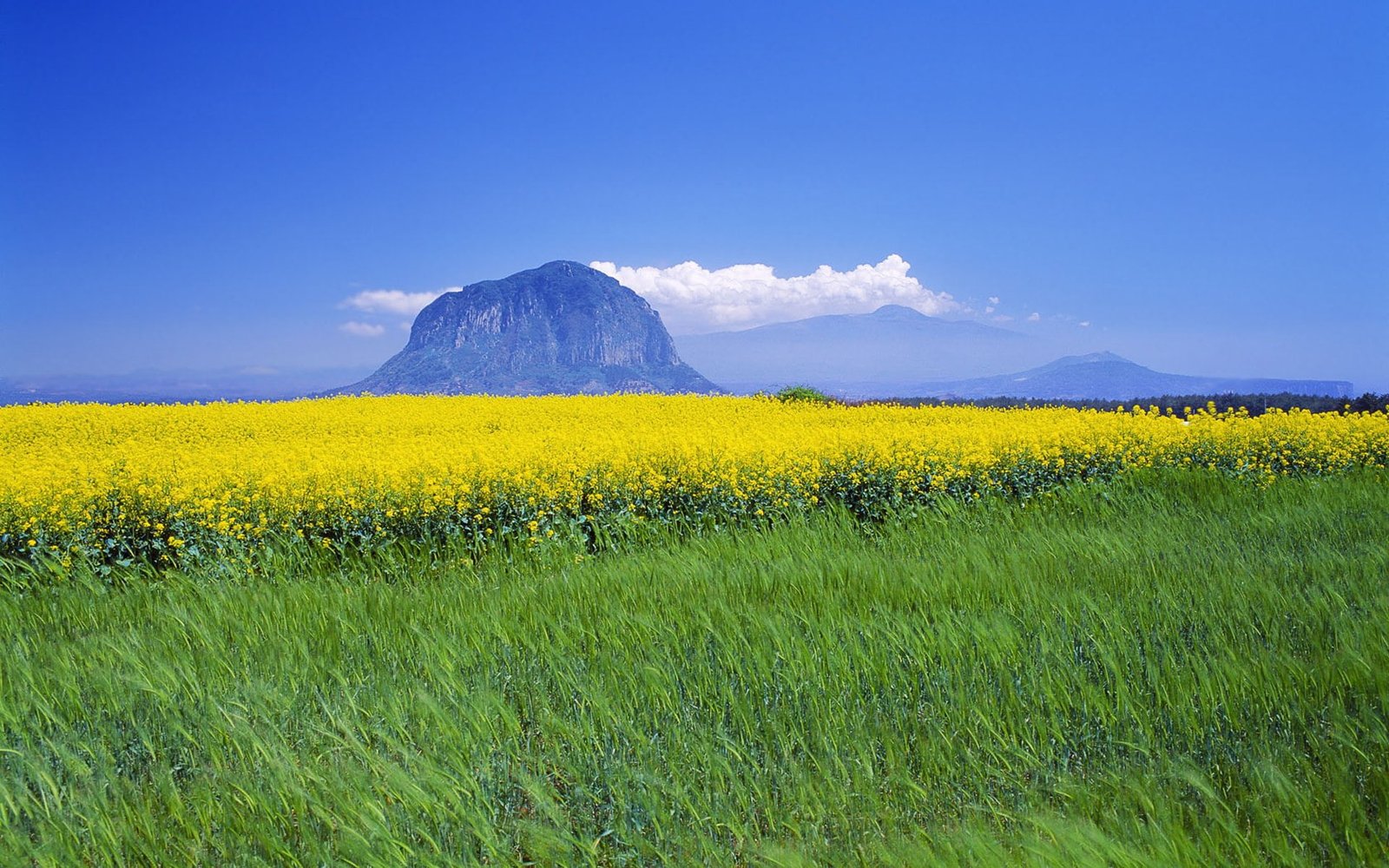 fields grass Sanbang Mountain on Jeju Island Korea Nature Mountains HD Art 2k