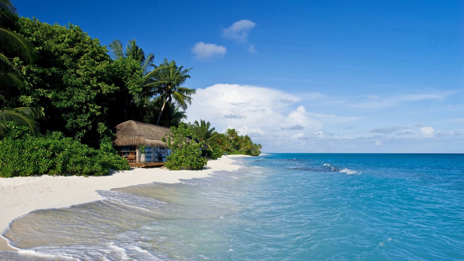 Kuramathi Maldives tropical ocean beach beautiful scenery seashore with 2k